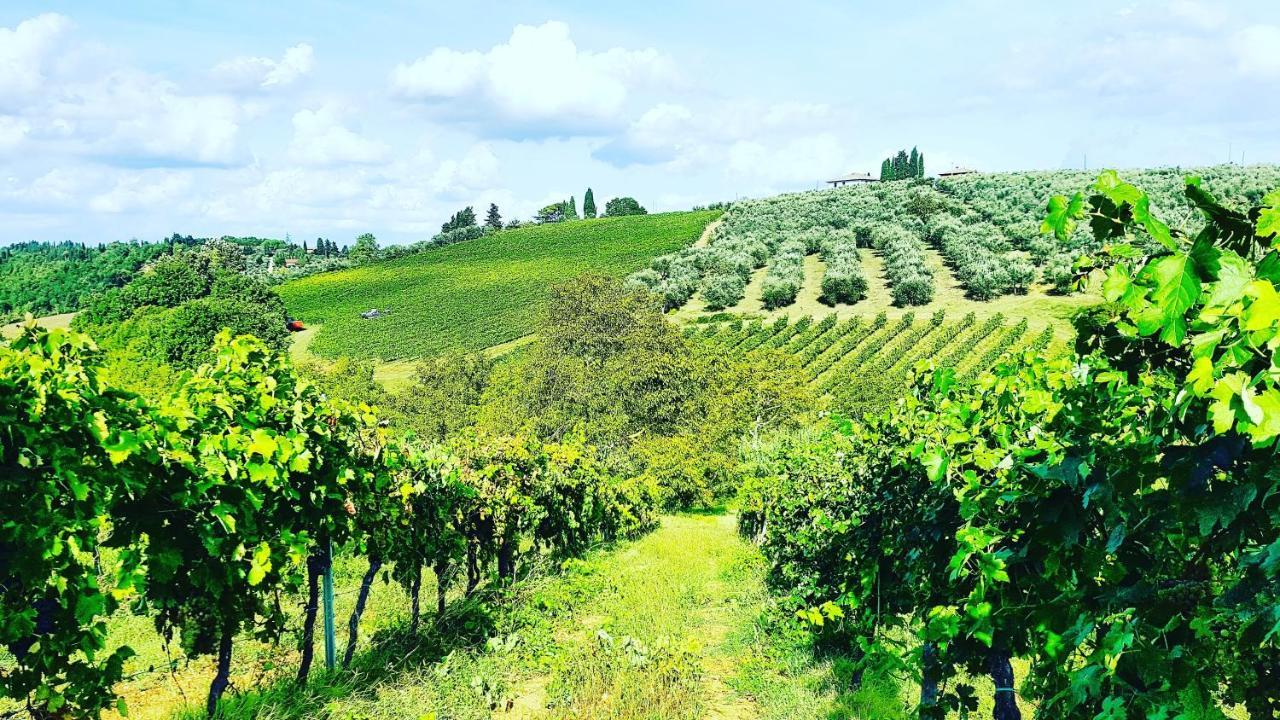 Agriturismo Sant'Ellero San Casciano in Val di Pesa Kültér fotó