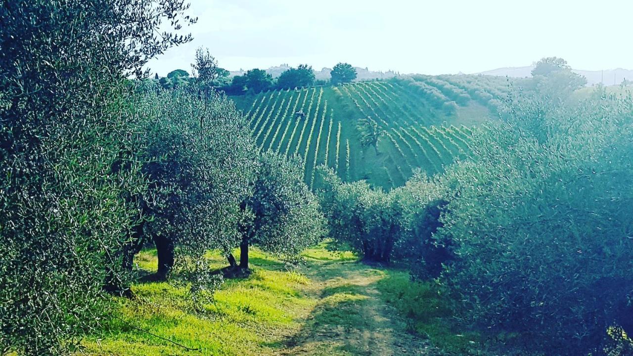 Agriturismo Sant'Ellero San Casciano in Val di Pesa Kültér fotó